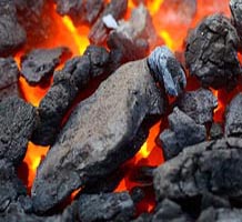 Increase in clean energy cess on imported coal: Adani, GVK and Tatas to redraw foreign assets